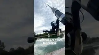 Mornings are made for fishing #quotes #fishingtechniques #fishingvideo