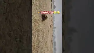 #maja @Lutel #me 🎄🎋#samar_singh_new_bhojpuri_video