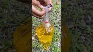 Creative Kitchen hacks - Oil - Bottle cap #kitchenhacks #creative #oil
