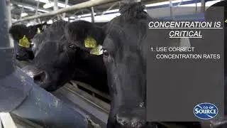 Co-op Source and Biocel Chlorine Free milk plant cleaning