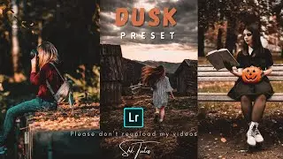 Travel Package | Dusk Preset | Adobe Lightroom Mobile | Free Preset DNG