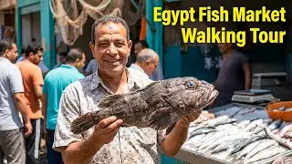 Inside Egyptian Fish Market