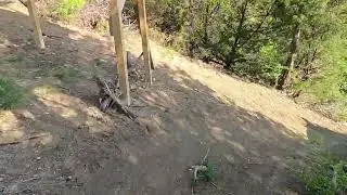 Big Cedar Wilderness Trail : SOS or Sting of the Scorpion