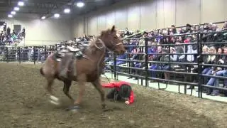 Colter Harden falls off in the Tie Down at Canada's 2012 Ultimate Cowboy Challenge in Ponoka, AB
