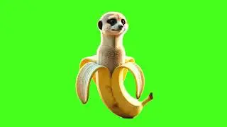 Suricatelli Bananelli Italian Brainrot - Green Screen