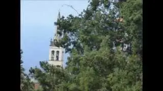 Paseo por los Realejos