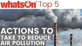 5 Actions to Take to Reduce Air Pollution | WhatsOn