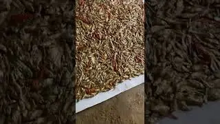 Eigi ahba video ne  nga kamaina yaigey do 🥰
