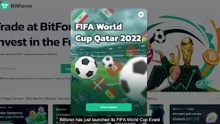 BitForex: World Cup 2022 Event |Participate & Win