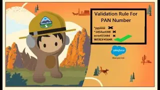 PAN Number Validation Rule || Salesforce Learn