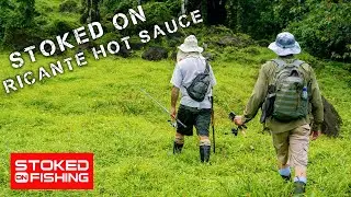 Private Creek Fishing for Machaca in Costa Rica