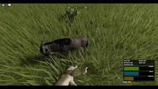lioness vs wildebeest [ wild savanna ]