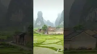 Rural landscape