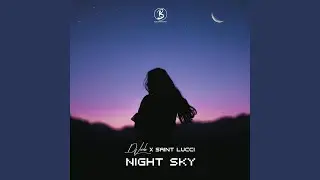 Night Sky (feat. Saint Lucci)