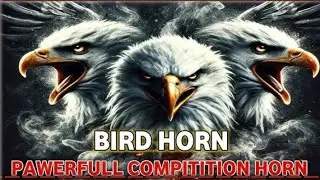  DJ competition horn। BIRD HORN powerful competition horn BIRB HORN 2025 mixing
