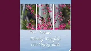 Nature: Calming Waterfalls with Singing Birds - 3 Hours