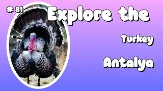 Exploring the Beauty and Culture of Antalya: The Turkish Riviera