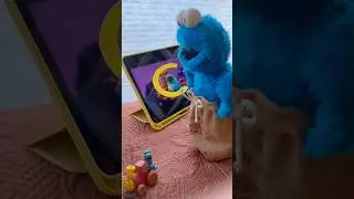 Cookie Monster from Sesame Street