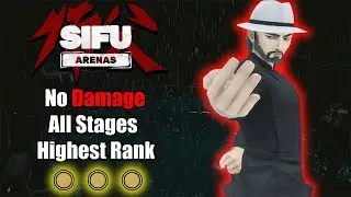 Sifu Arenas - Crossroads [ No Damage, All Stages , Gold Stamps ]