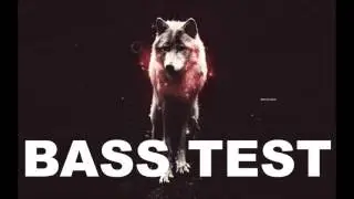 SwagWolf Swab  -  BASS TEST