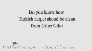 Do you Know how Turkish rug should be clean from urine odor