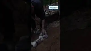 Asbjorn Bushcraft | Vahşi Ormanda İnşa Ser&uuml;veni