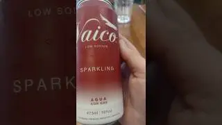 PATAGONIA PREMIUM VAICO AGUA CON GAS