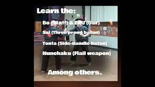 Traditional Kobudo (Okinawan Weapons) classes in Sydney