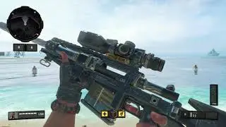 BO3 Locus vs BO4 Locus
