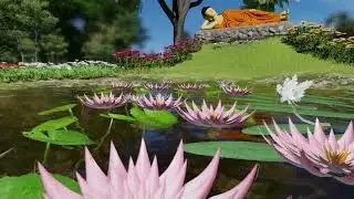 Nelum Villa | Lotus Pond Animation| Gihan karunathilaka Official