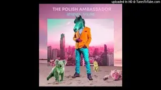 The Big Bounce (& Friends Mix) - The Polish Ambassador