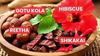 The Herb Therapy 🌿Herbal Hair Wash Powder✨ With Shikakai, Soapnut, Gotu Kola, Hibiscus & More Herbs