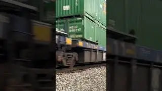 The great big rolling railroad trails on a NS intermodal train!