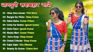 New Nagpuri Nonstop Song 2026 | Singer Priti Barla | Hilae Dele Kamar | Dance Song 2026 #sadrisong