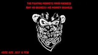 Fighting Monkey Promo 2016