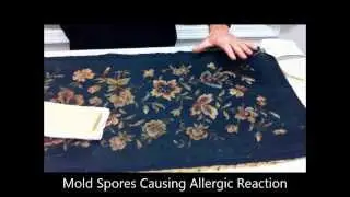 Antique Needlepoint Upholstery Cleaning Boston