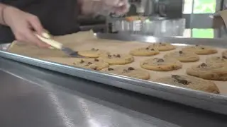 National Chocolate Chip cookie day