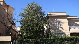 Roma, Via Alessandro Poerio n &deg; 32 Villini