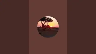 Animals Lifes is live