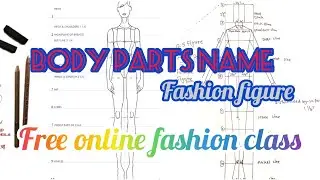 Body Parts Name|#fashionfigure  #stepbystep #onlineclasses#fashion#illustration #tutorial #ytshorts