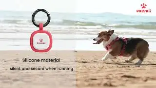 Pawaii digital ID tag
