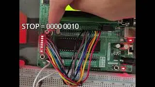 WIX 1003 - LAB 8