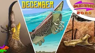 Пчёлы в костях? Универсальный динозавр? | PaleoRewind 2025 - Декабрь