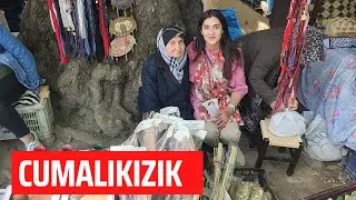 Ottoman Village in Bursa (Cumalikizik)