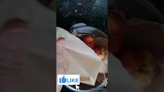 How to store apples for long time !