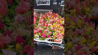 Japan e market e flower jevabe sell korar jnno  sajiye rakha hoy