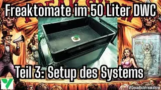 Vom Samen ins Glas: Freakshow - 50 Liter DWC Hydrosystem