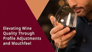Elevating Wine Quality Through Profile Adjustments and Mouthfeel