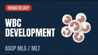 ASCP | MLS | MLT | Hematology | Leukocyte Development, Kinetics, & Functions