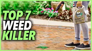 Best Weed Killer | Top 7 Weed Killers To Keep Your Lawn, Paving Or Driveway Clear